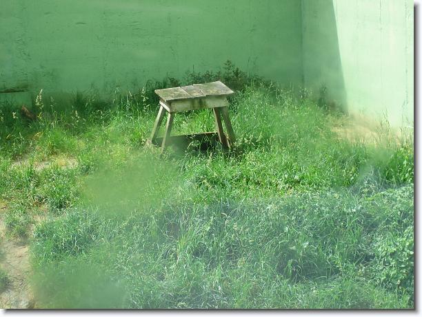 Diapositiva siguiente